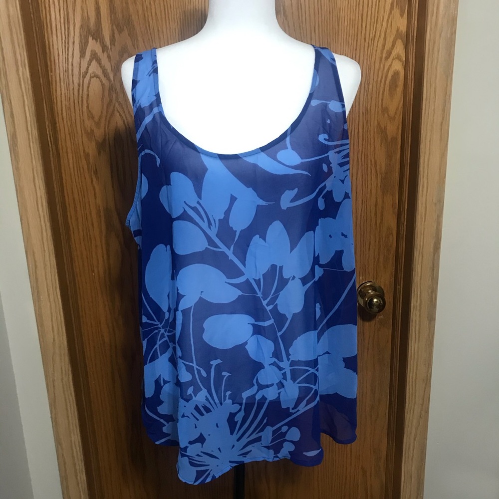 Cute lite sheer top